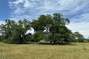 Tbd 94Ac County Road 330, Bertram, TX 78605 - Photo 1