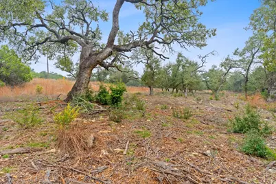 301 Lonesome Trail, Driftwood, TX 78619 - Photo 17