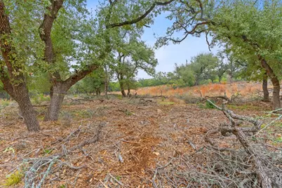 301 Lonesome Trail, Driftwood, TX 78619 - Photo 15