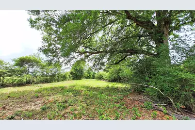18155 Wellmann Road, Washington, TX 77880 - Photo 7