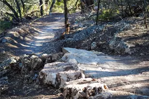 432 Cartwheel Bend, Austin, TX 78738 - Photo 27