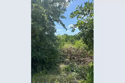 164 Manawianui Drive, Bastrop, TX 78602 - Photo 3