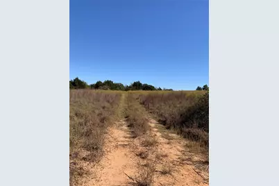 000 County Road 304, Lexington, TX 78947 - Photo 5