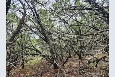 7707 Sagebrush Trail, Lago Vista, TX 78645 - Photo 7