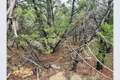 7707 Sagebrush Trail, Lago Vista, TX 78645 - Photo 5