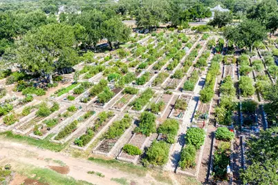 106 Hale Court, Georgetown, TX 78633 - Photo 39