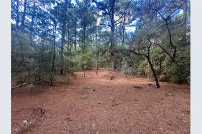 Tbd S Hill Ridge Drive, Bastrop, TX 78602 - Photo 13