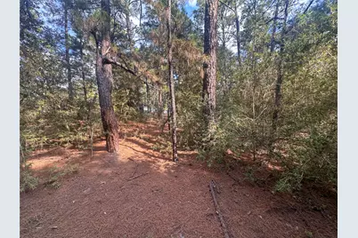 Tbd S Hill Ridge Drive, Bastrop, TX 78602 - Photo 11