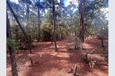 Tbd S Hill Ridge Drive, Bastrop, TX 78602 - Photo 9