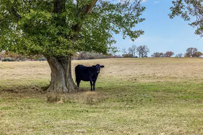 2150 Cr 412, Lexington, TX 78947 - Photo 3