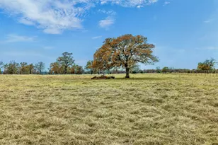 2150 Cr 412, Lexington, TX 78947 - Photo 1