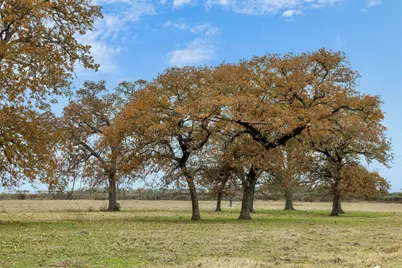 2150 Cr 412, Lexington, TX 78947 - Photo 7