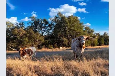 577 Cattle Creek Road, Johnson City, TX 78636 - Photo 39