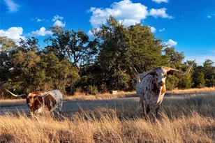 577 Cattle Creek Rd, Johnson City, TX 78636 - Photo 39