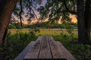 577 Cattle Creek Rd, Johnson City, TX 78636 - Photo 37