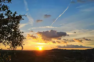 5603 Oakwood Cove, Austin, TX 78731 - Photo 35