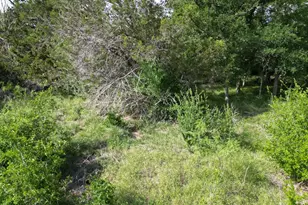 Lot 39 Serenity Dr, Bertram, TX 78605 - Photo 9