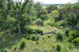 Lot 39 Serenity Dr, Bertram, TX 78605 - Photo 3