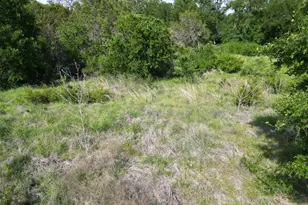 Lot 39 Serenity Dr, Bertram, TX 78605 - Photo 7