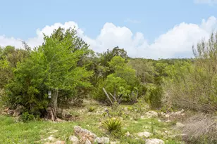 2591 Spring Valley Dr, Dripping Springs, TX 78620 - Photo 19