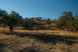 2530 County Road 408 S, Spicewood, TX 78669 - Photo 13