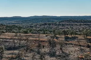 2530 County Road 408 S, Spicewood, TX 78669 - Photo 21