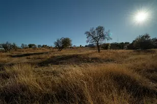 2530 County Road 408 S, Spicewood, TX 78669 - Photo 11