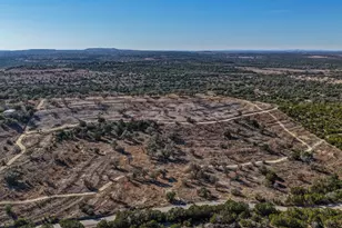 2530 County Road 408 S, Spicewood, TX 78669 - Photo 15