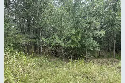 109 Halawa Court, Bastrop, TX 78602 - Photo 5