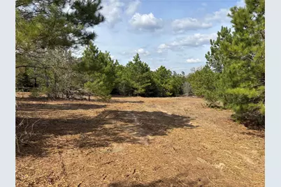 187 K C Drive, Bastrop, TX 78602 - Photo 17