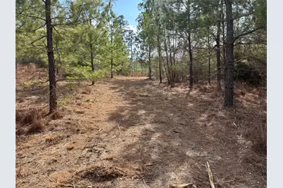 187 K C Drive, Bastrop, TX 78602 - Photo 9