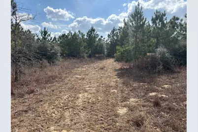 187 K C Drive, Bastrop, TX 78602 - Photo 13