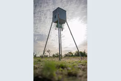 Tbd Bell Springs Road, Dripping Springs, TX 78620 - Photo 13