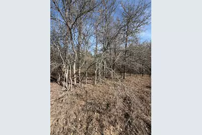 Lots 1006 and 1007 Diamond Head Drive, Bastrop, TX 78602 - Photo 13