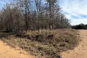 Lots 1006 and 1007 Diamond Head Dr, Bastrop, TX 78602 - Photo 1