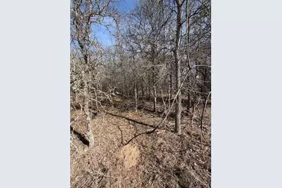 Lots 1006 and 1007 Diamond Head Drive, Bastrop, TX 78602 - Photo 11