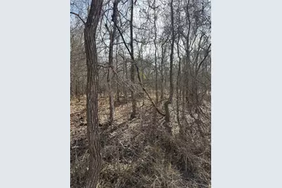 Lots 1006 and 1007 Diamond Head Drive, Bastrop, TX 78602 - Photo 7