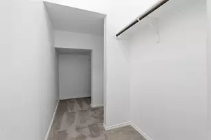 101 Magpie Goose Ln, Leander, TX 78641 - Photo 25