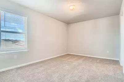 121 Freedom Park Avenue, Liberty Hill, TX 78642 - Photo 21