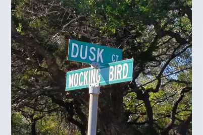 Tbd SE Mockingbird Street, Lago Vista, TX 78645 - Photo 19