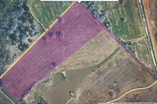 000 Old Potato Rd, Paige, TX 78659 - Photo 1