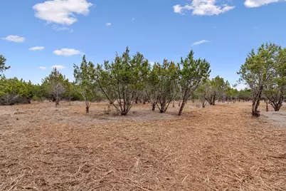 Tbd County Road 202, Liberty Hill, TX 78642 - Photo 5