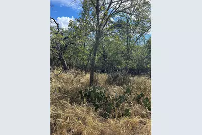 Tbd County Road 202, Liberty Hill, TX 78642 - Photo 11