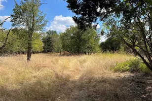 Tbd County Road 202, Liberty Hill, TX 78642 - Photo 1