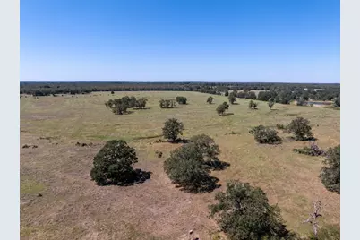 1078 Old Pin Oak Road #Tracts 1 & 2, Paige, TX 78659 - Photo 9