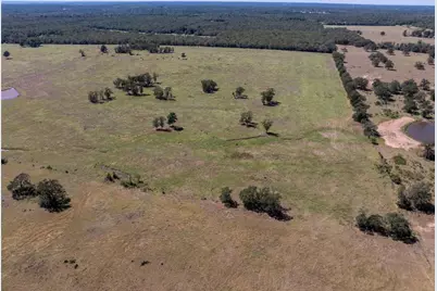 1078 Old Pin Oak Road #Tracts 1 & 2, Paige, TX 78659 - Photo 13