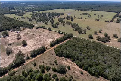 1078 Old Pin Oak Road #Tracts 1 & 2, Paige, TX 78659 - Photo 7