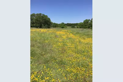 184 Moondance Trail, Wimberley, TX 78676 - Photo 1