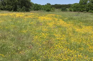 184 Moondance Trail, Wimberley, TX 78676 - Photo 1