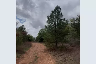 Lot 15 Antioch Road, Paige, TX 78659 - Photo 5